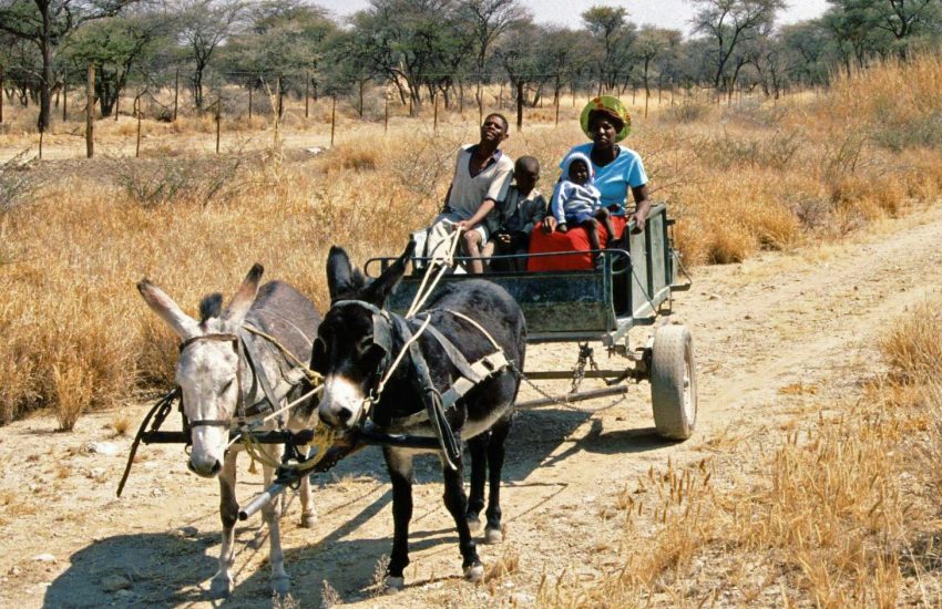 Damara people of Namibia, one of the country's oldest inhabitants.