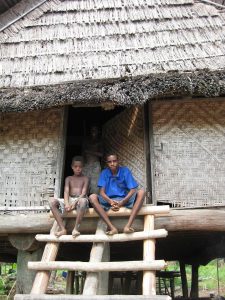 Traditional Papuan Thatched House