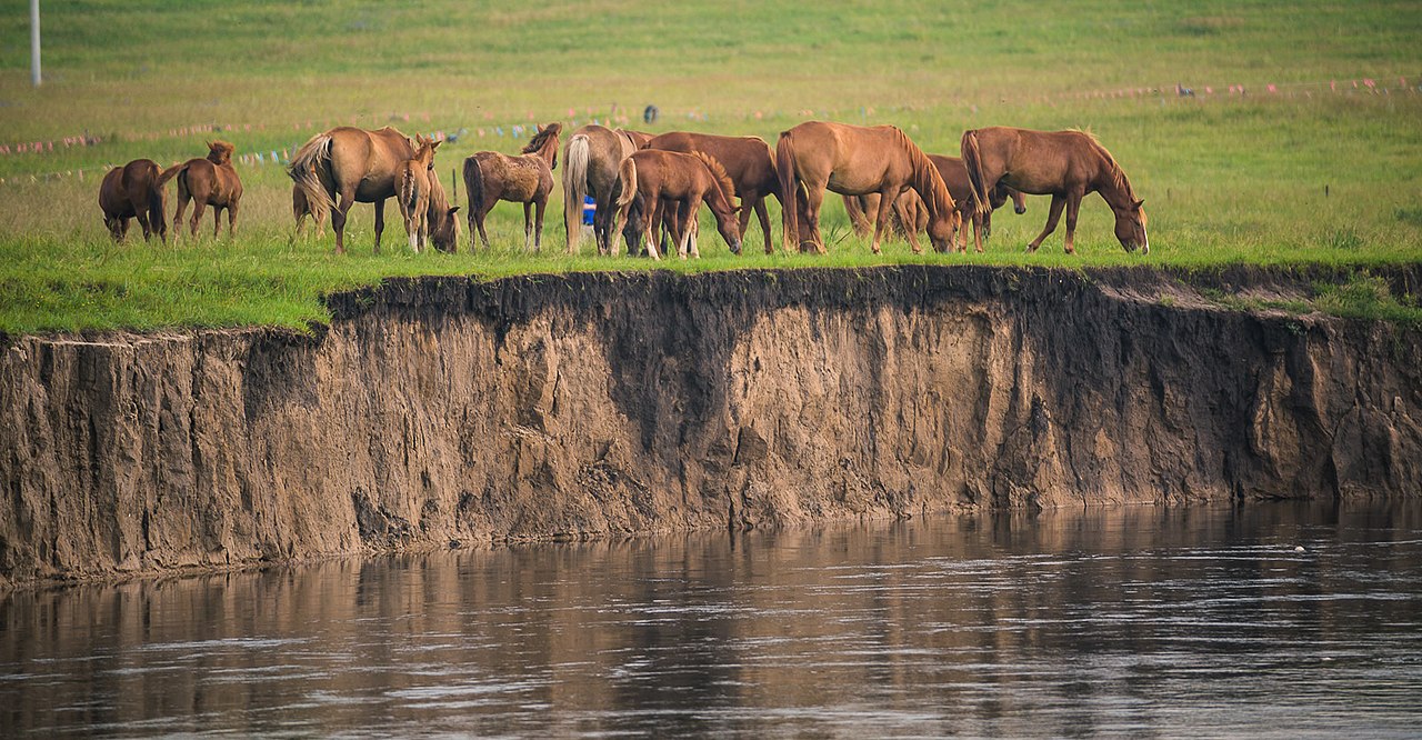 The Hulunbuir grasslands