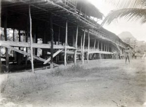 A Dayak longhouse, the communal dwelling of Borneo