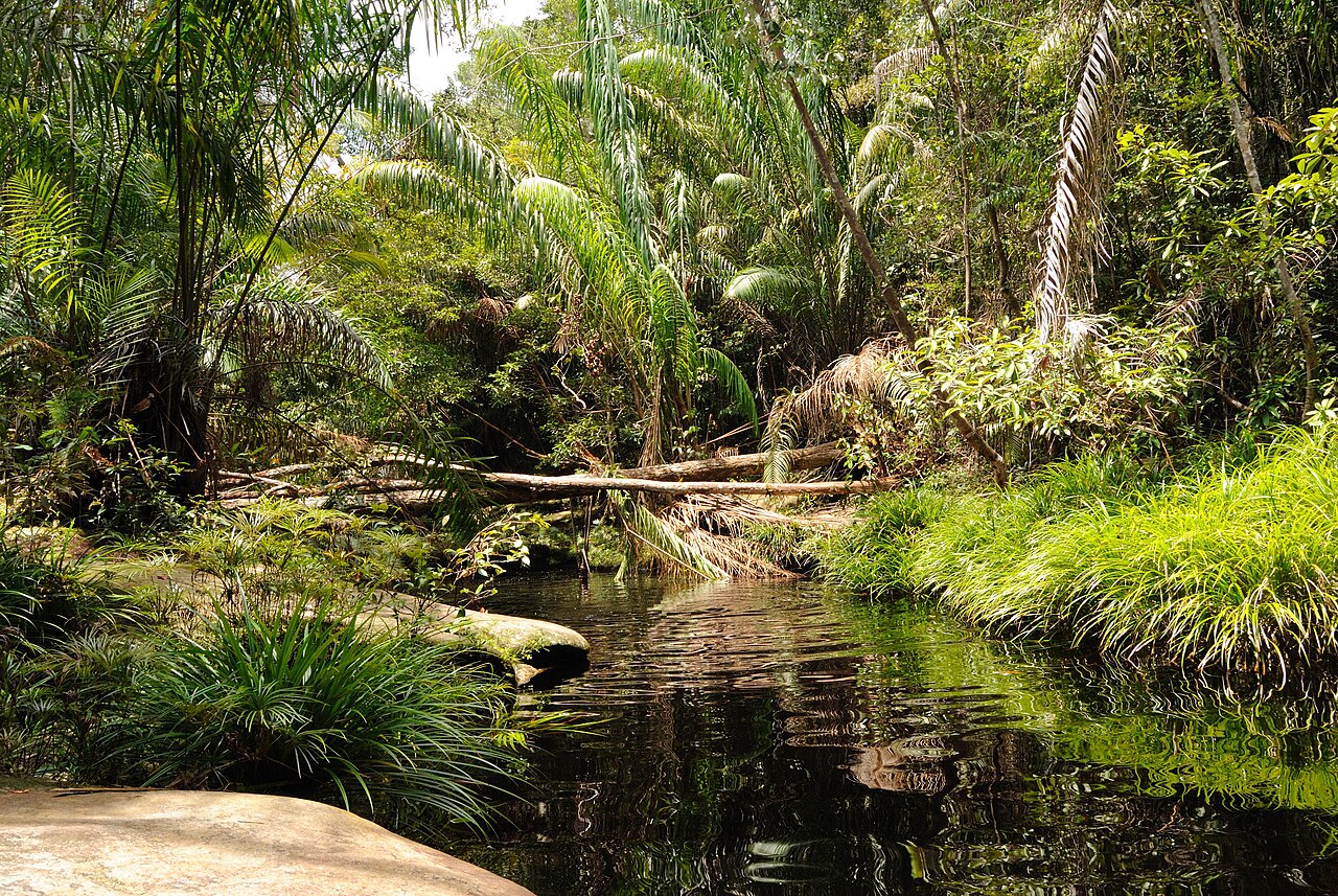 A waterfall in the rainforest of Borneo, the Dayak homeland