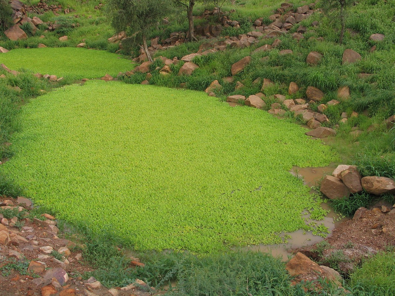 African Landscape Today