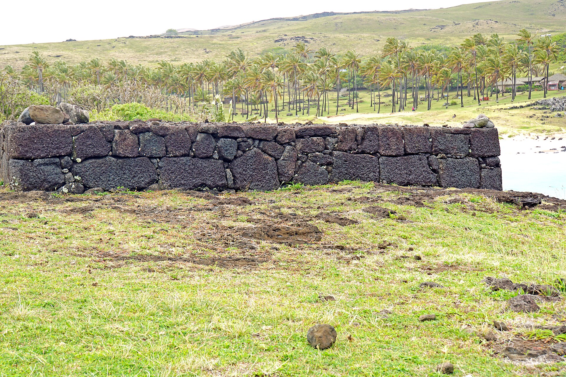 A single moai, the giant carved stone ancestor figures of Rapa Nui.
