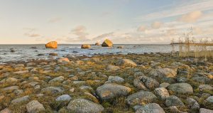 The Estonian coast
