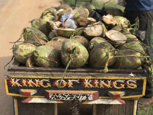 Coconuts