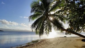 Fijian Island Celebration Setting