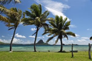 Tropical Homeland of Fiji