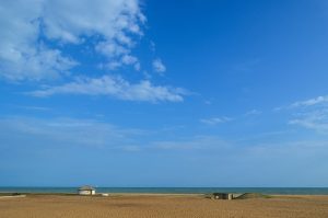 The coast at Ouidah, in the Fon homeland of southern Benin