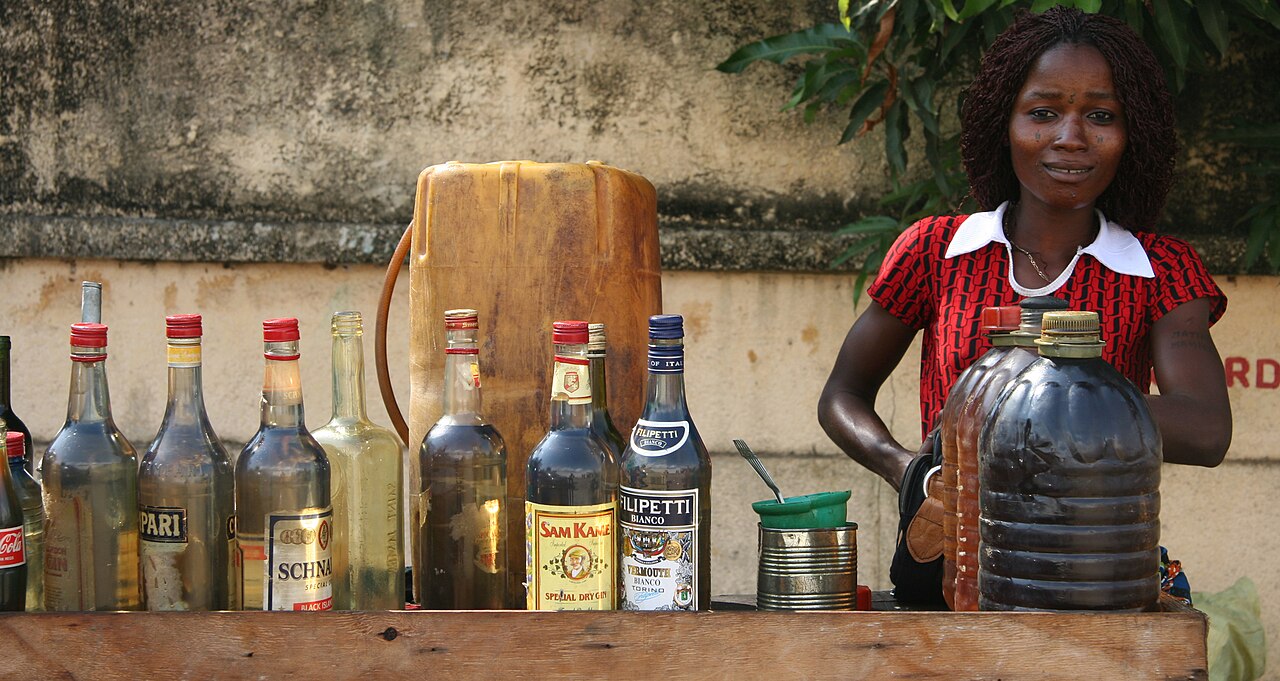Modern Benin, the country of the Fon people today