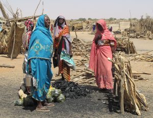 The town of El Fasher in Darfur, a centre of the Fur country today.