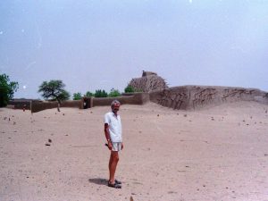 The stepped pyramidal tomb of Askia rising above the town of Gao in eastern Mali