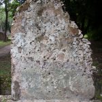 The coral-stone ruins of Gedi, a medieval Swahili town on the coast of Kenya.