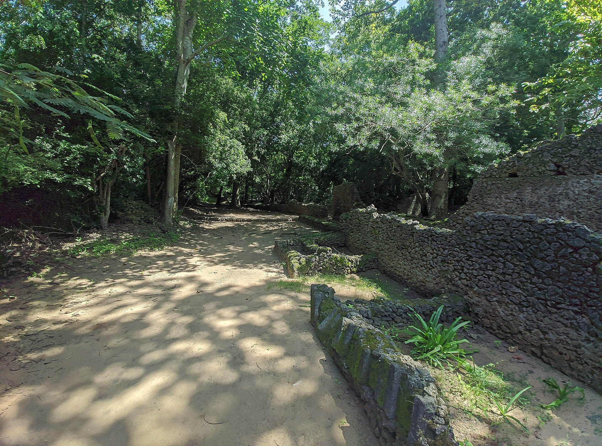 Walls of coral stone among the ruins of Gedi in Kenya.