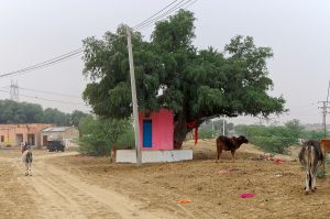 A village shrine of the kind venerated in the Gujjar country