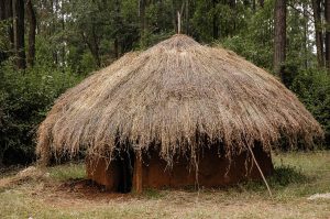 A Gusii homestead in the green highlands of southwestern Kenya.