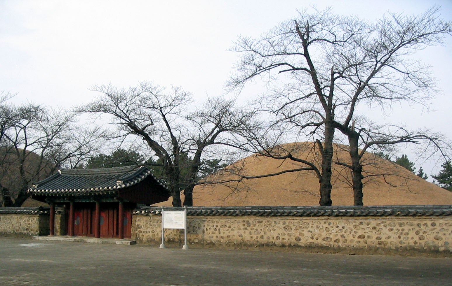 The grassed royal tomb mounds of Daereungwon, burial place of the kings and queens of Silla