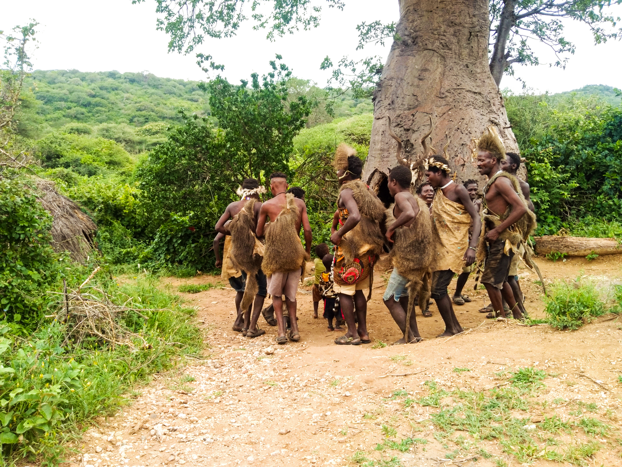 The Hadzabe at home, dancing at their camp.