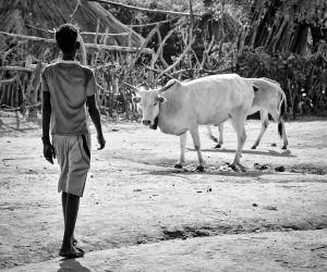 A Hamar village of low huts in the Omo Valley.