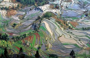 The ancient terraces of the Hani, carved over many centuries