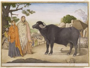 A village scene of Haryana, land of the Haryanvi people