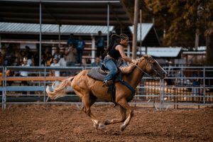 Horse Rider