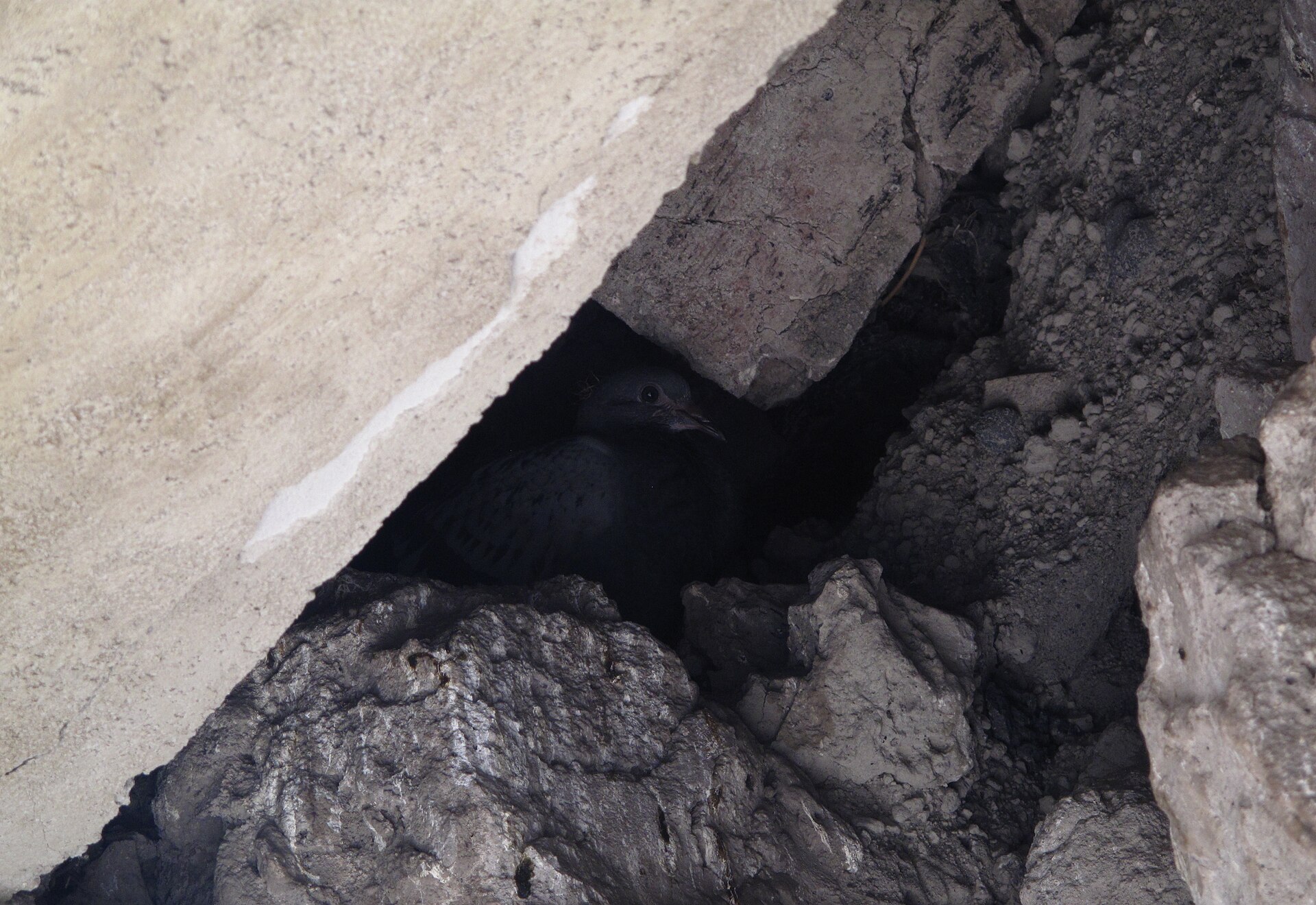 The excavated ruins of Herculaneum below the modern town of Ercolano.