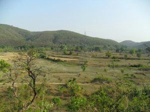The forested hills of Jharkhand, homeland of the Ho