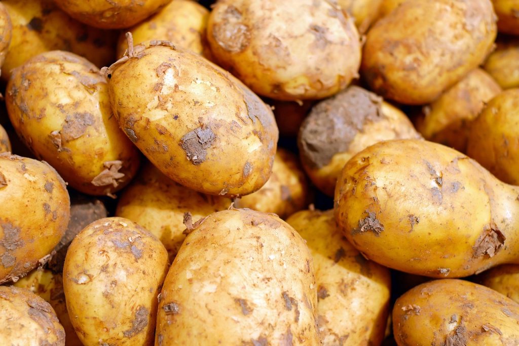 Root Crops of the Highland Gardens