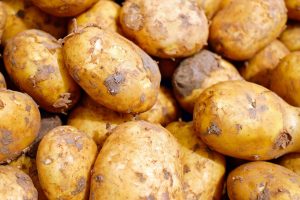 Root Crops of the Highland Gardens