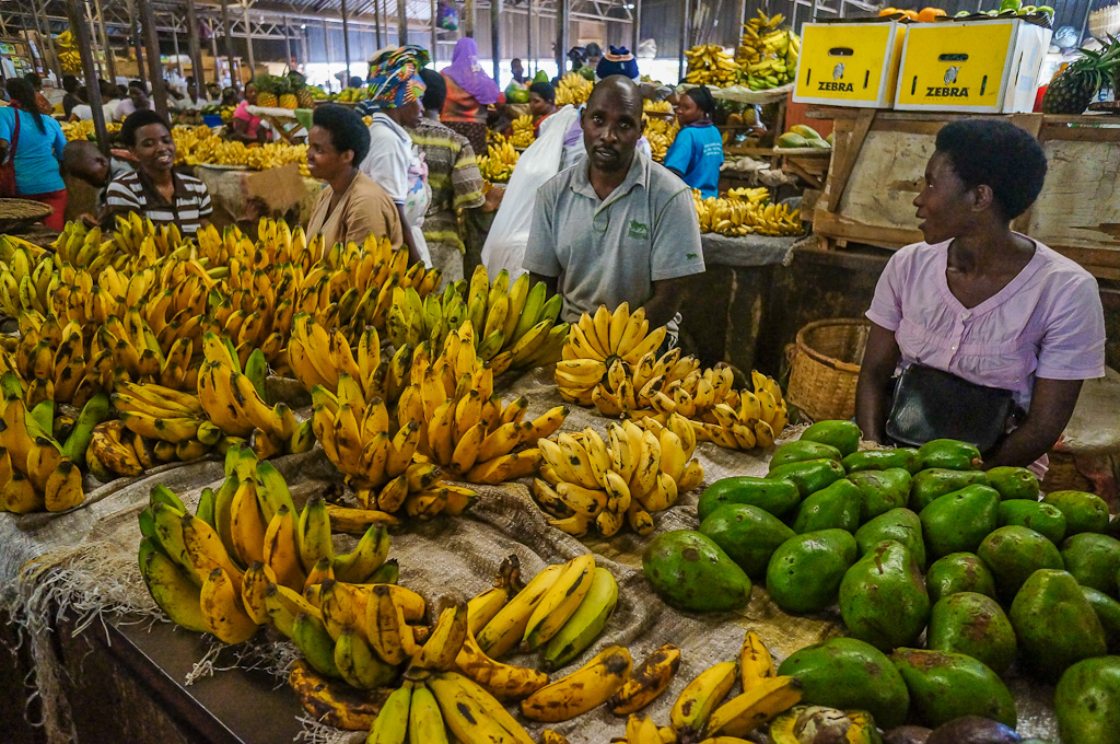 Bananas, a staple crop of the Hutu farmer in Rwanda and Burundi.