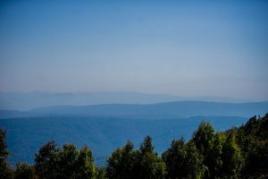The thousand hills of Rwanda, the densely farmed heart of the region.