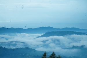 The green hills of Rwanda, the land the Hutu share with the Tutsi and Twa.