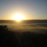 Rainforest Sunrise