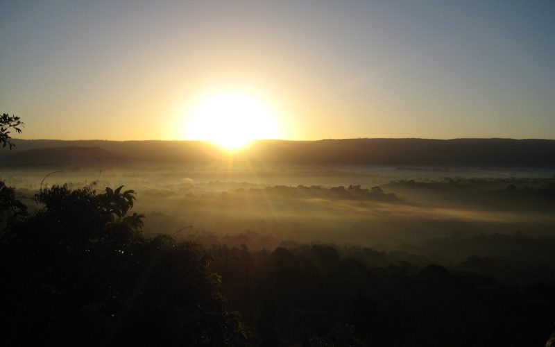 Rainforest Sunrise