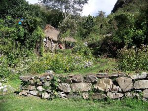 Hut Thatched