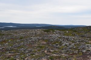 The taiga landscape of Labrador, part of Nitassinan, the Innu homeland.