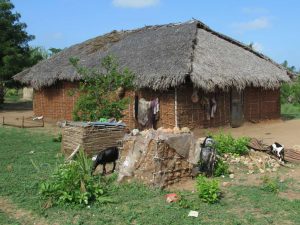 A rural homestead in highland Tanzania, of the kind the Iraqw build.
