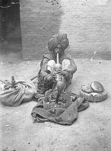 The handling of the cobra, the Irula's celebrated skill