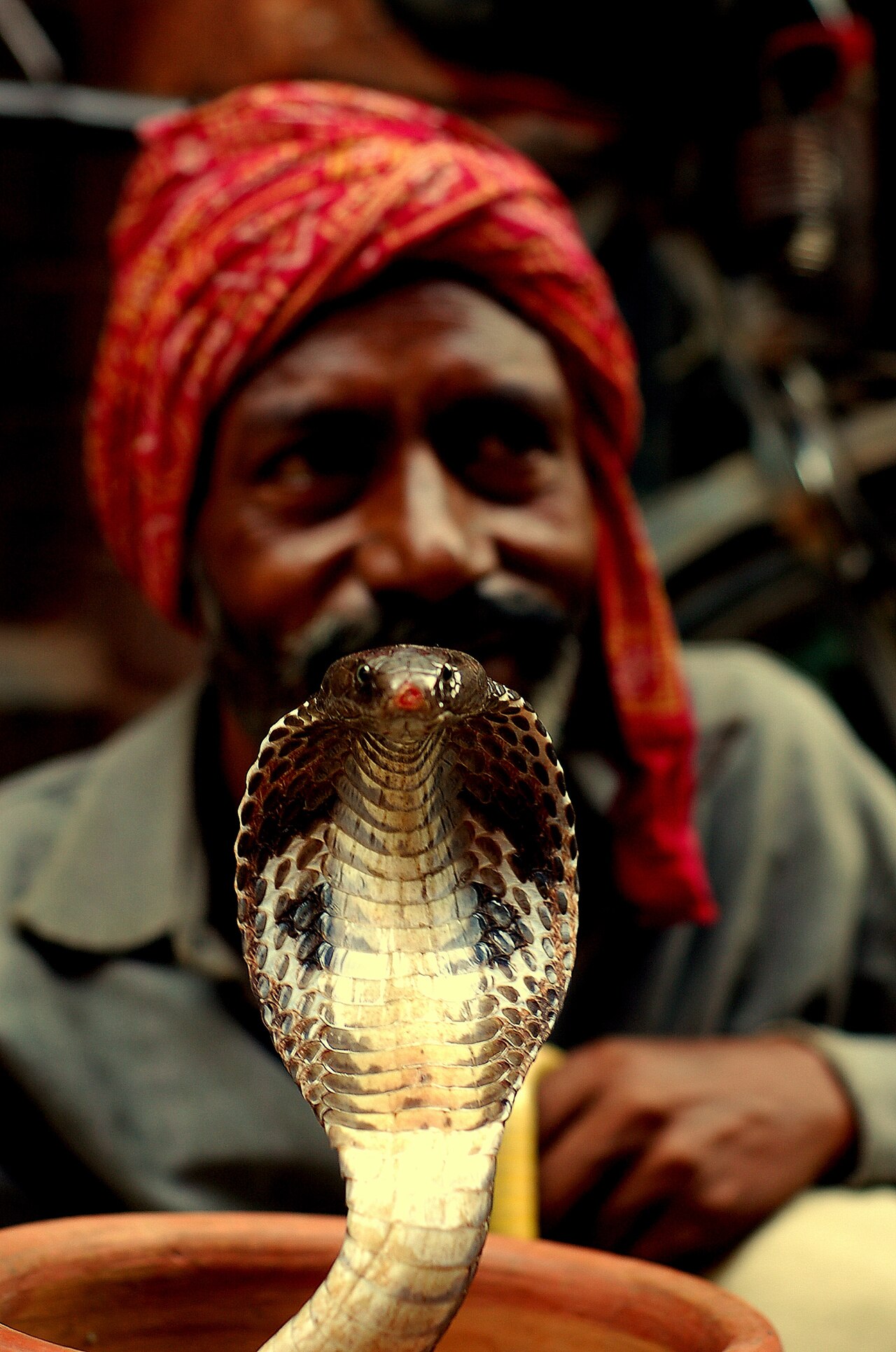 A snake-handler of old India, an ancient Irula calling