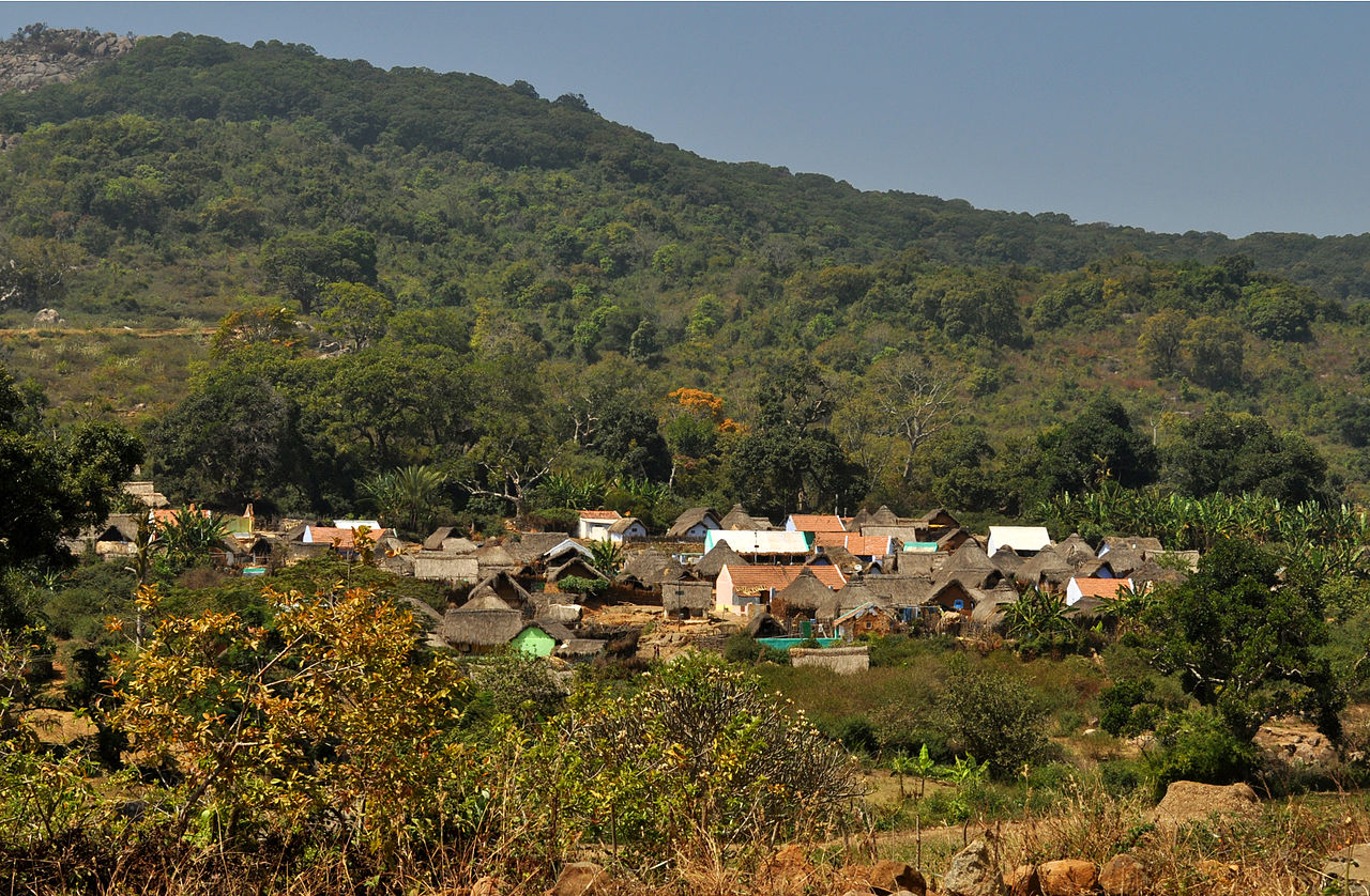 A village goddess shrine of the kind venerated by the Irula