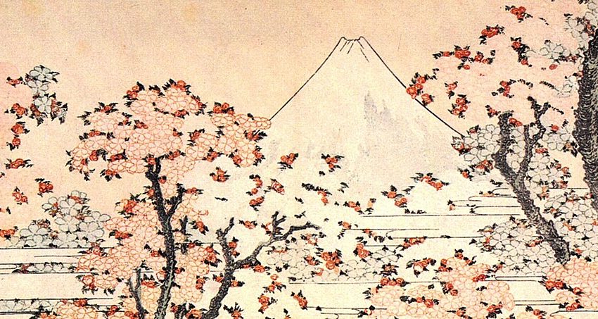 Mount Fuji framed by cherry blossom, the great emblem of Japan