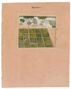 Punjabi farmers at work; the Jats are one of India's great agrarian communities