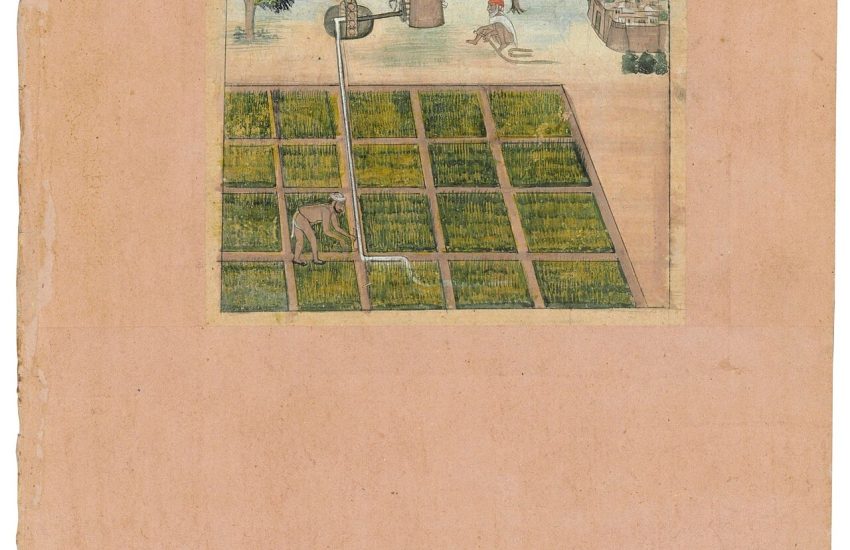 Punjabi farmers at work; the Jats are one of India's great agrarian communities