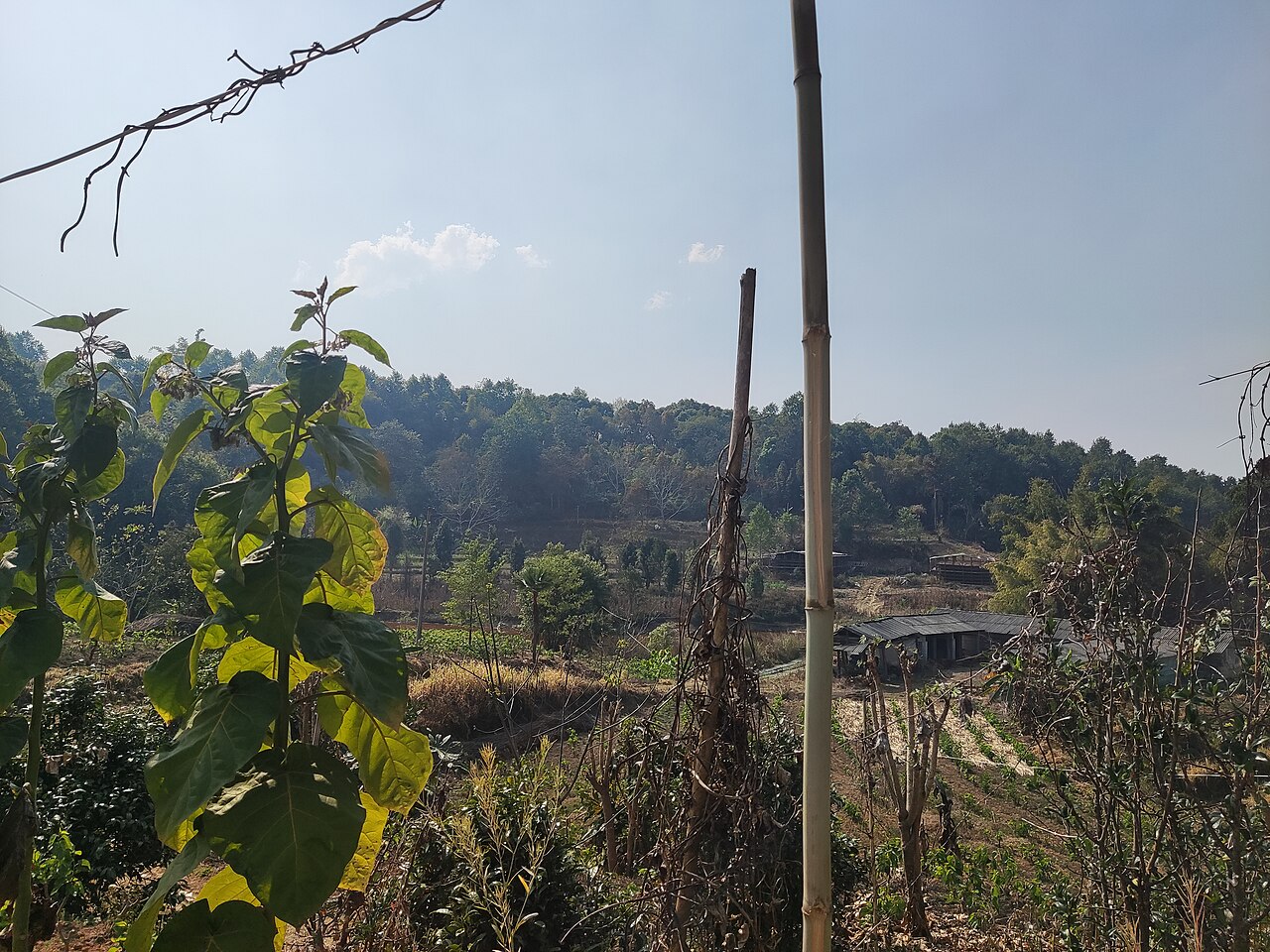 A Jingpo village
