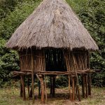 A Kamba village in the highlands east of Nairobi, the heartland of the Akamba people.