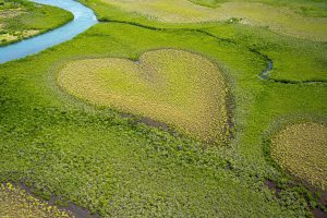 Heart of Voh