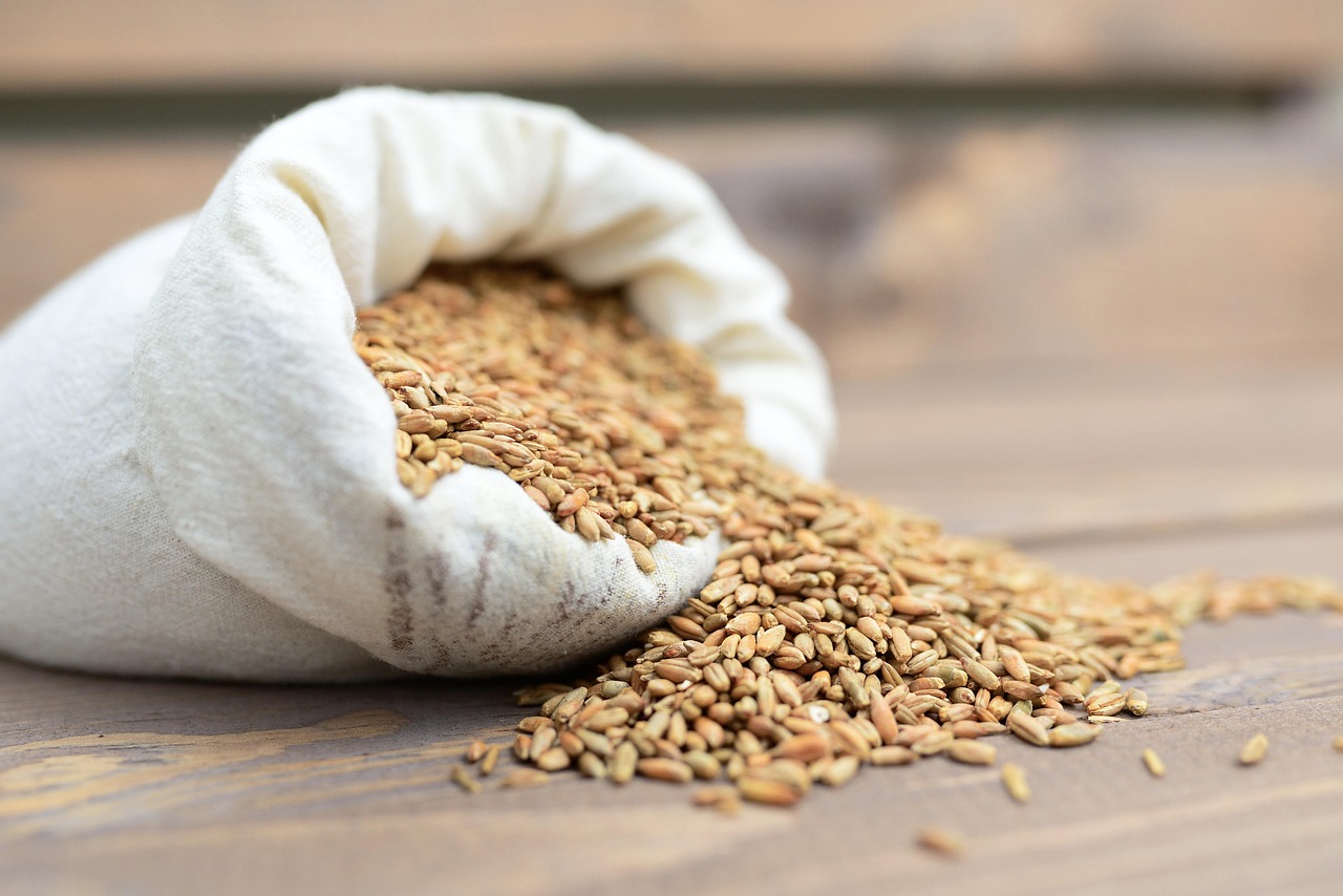 Grain