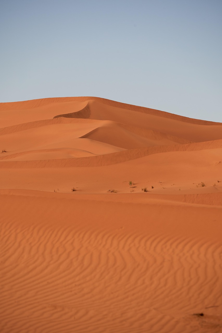 Desert edge