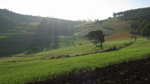 Green hill country in the Karen borderlands