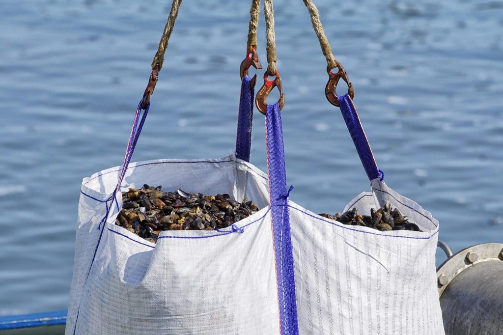 Shellfish and mussels